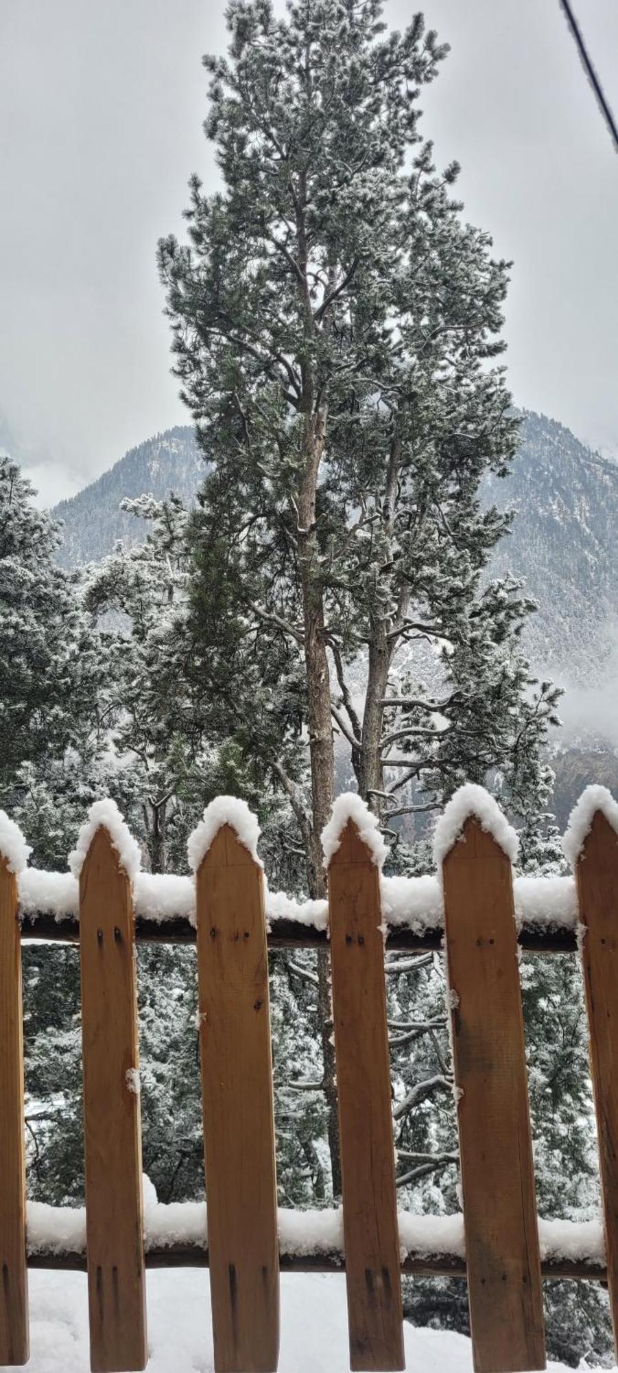 Rudra Homestays Kalpa Dış mekan fotoğraf